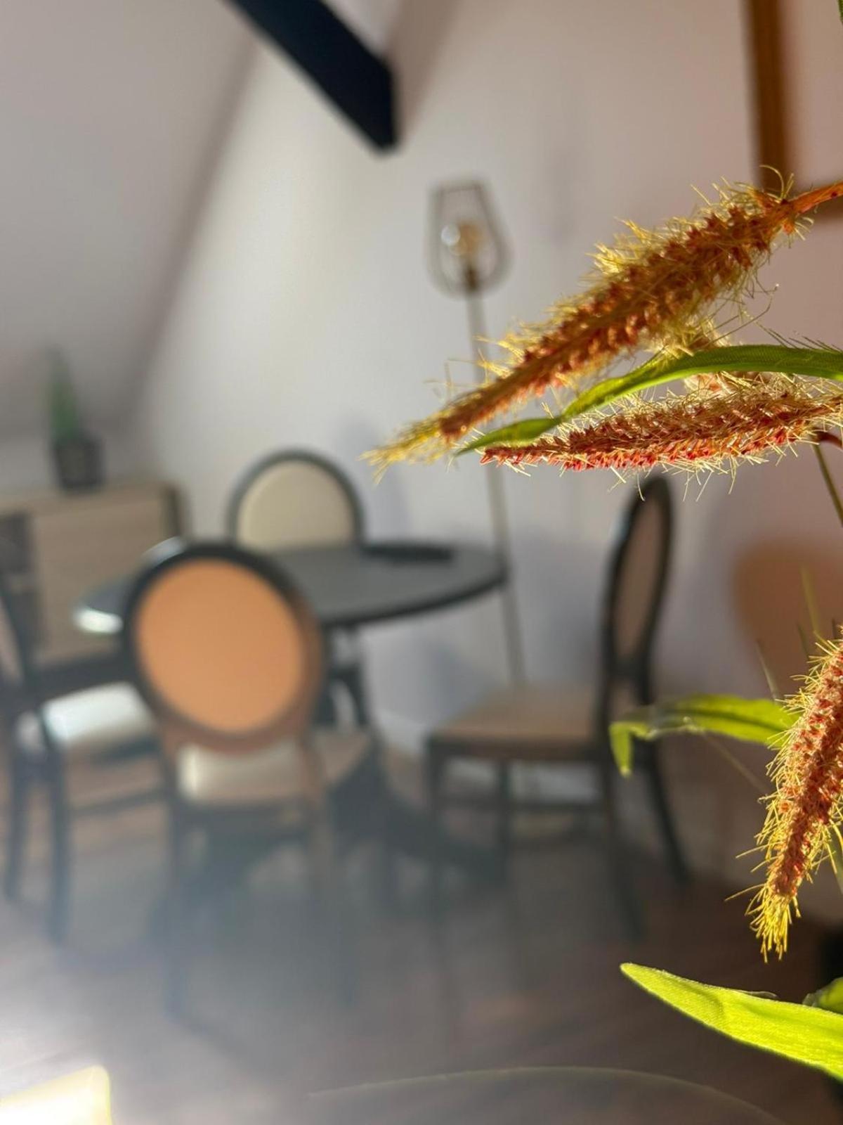 이노우로추프 Rynek 14 & Restaurant B&B 외부 사진